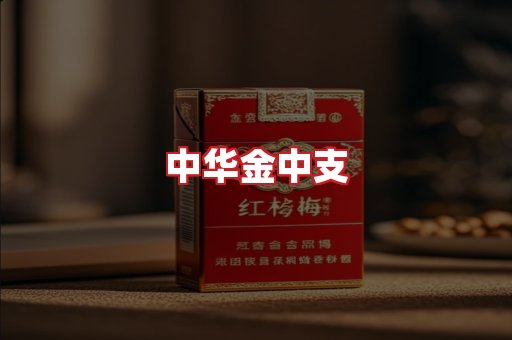 中华金中支